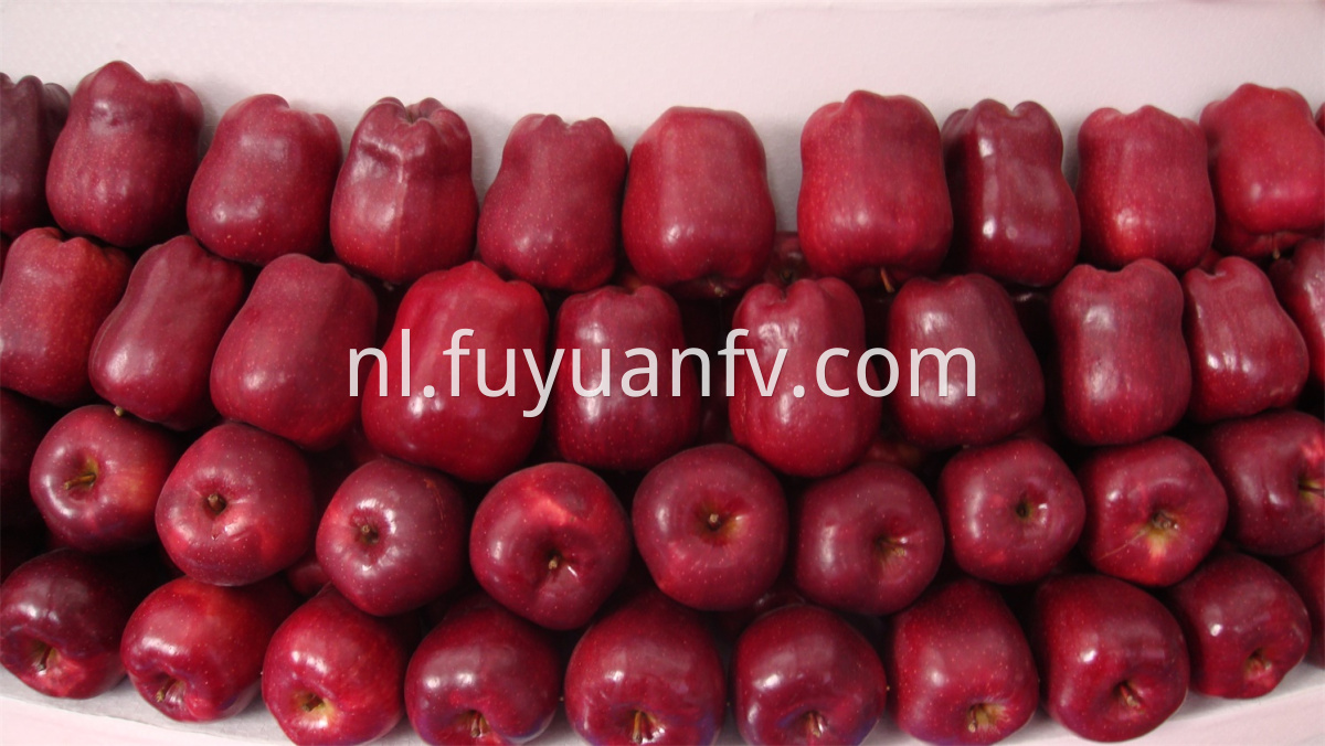 fresh huaniu apple